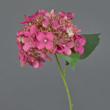 Künstliche Hortensie CALESA, pink, 50cm, Ø15cm