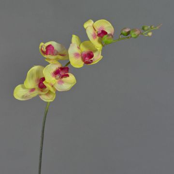 Textilzweig Phalaenopsis Orchidee DAJANA, gelb-pink, 80cm, Ø6-11cm