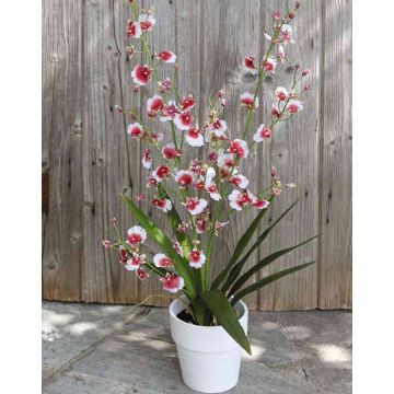 Kunststoffschaum Orchidee Oncidium YOSEPHIN im Tontopf, weiß-rot, 70cm