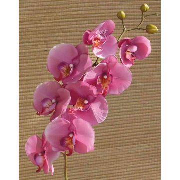 Kunstzweig Phalaenopsis Orchidee RICKY, pink, 95cm, Ø7-11cm
