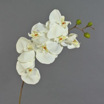 Kunstzweig Phalaenopsis Orchidee RICKY, creme, 95cm, Ø7-11cm