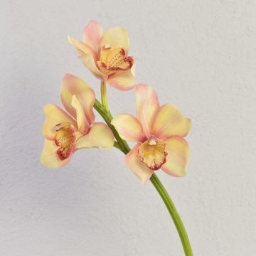 Dekozweig Cymbidium Orchidee SERAPHINA, gelb-rosa, 45cm, Ø10-13cm
