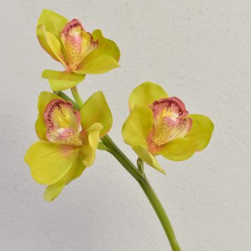 Dekozweig Cymbidium Orchidee SERAPHINA, grün-rosa, 45cm, Ø10-13cm