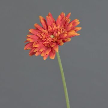 Kunst Gerbera AITANA, orange, 55cm, Ø10,5cm