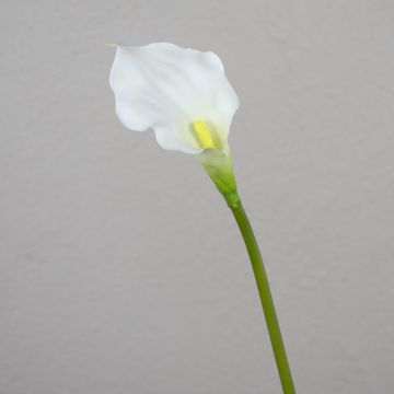 Deko Calla PEPITA, weiß, 55cm, 7x11cm