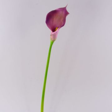 Textilblume Calla TERESA, violett, 70cm, 10x15cm Textilblume Calla TERESA, violett, 70cm, 10x15cm
