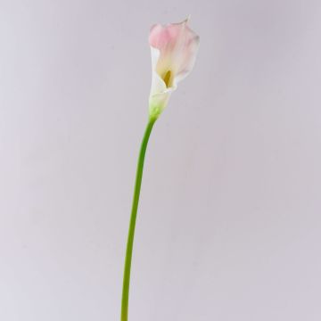 Textilblume Calla TERESA, weiß-rosa, 70cm, 10x15cm