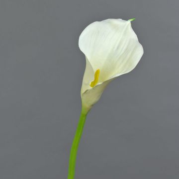 Textilblume Calla TERESA, creme, 70cm, 10x15cm