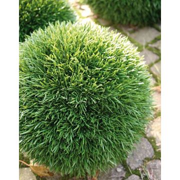 Plastik Schilfgras Kugel PANTHOS, Kunststoffgitter, Ø15cm