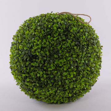 Buchskugel HEINZ, Kunststoffgitter, Ø40cm Buchskugel HEINZ, Kunststoffgitter, Ø40cm