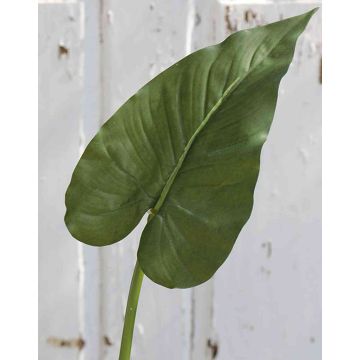 Dekoblatt Calla FRANSCHESKA, grün, 70cm