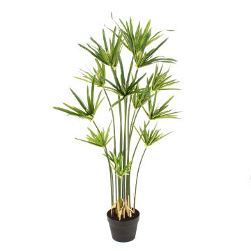 Künstliches Zyperngras ZAHIR, grün, 180cm Künstliches Zyperngras ZAHIR, grün, 180cm