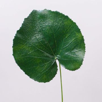 Künstliches Geranien Blatt HEIDEGARD, grün, 38cm, Ø14cm Künstliches Geranien Blatt HEIDEGARD, grün, 38cm, Ø14cm