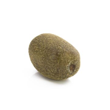 Kunst Kiwi MIRAITA, grün, 6cm, Ø4,5cm Kunst Kiwi MIRAITA, grün, 6cm, Ø4,5cm