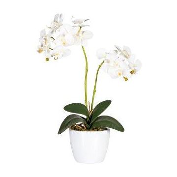 Kunst Phalaenopsis Orchidee FRUXO, Steckstab, Wurzeln, weiß, 50cm