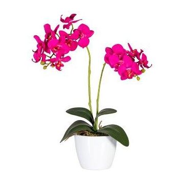 Kunst Phalaenopsis Orchidee FRUXO, Steckstab, Wurzeln, pink, 50cm Kunst Phalaenopsis Orchidee FRUXO, Steckstab, Wurzeln, pink, 50cm