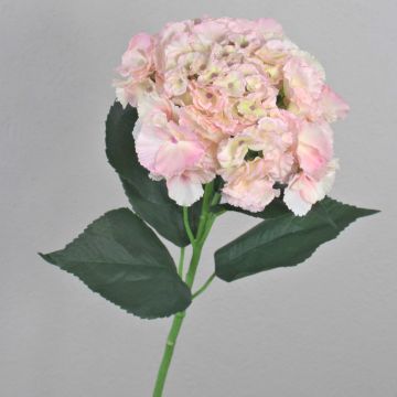 Kunstblume Hortensie ANGELINA, rosa-creme, 70cm, Ø23cm
