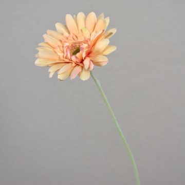 Kunst Gerbera VIRGINIA, pfirsich-rosa, 55cm, Ø11cm