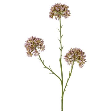 Kunst Allium ALIKIO, lila, 65cm, Ø7cm Kunst Allium ALIKIO, lila, 65cm, Ø7cm