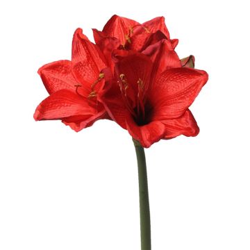 Kunst Amaryllis BENITA, rot, 55cm, Ø10cm Kunst Amaryllis BENITA, rot, 55cm, Ø10cm
