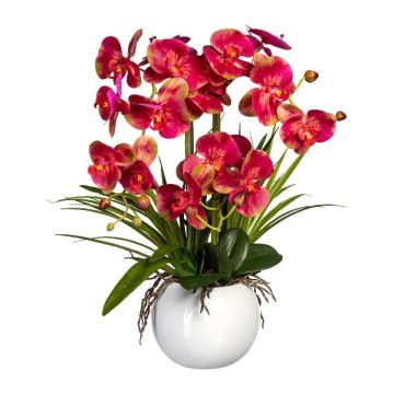 Kunstgesteck Orchidee Phalaenopsis TRALFEN mit Gras, Keramiktopf, Wurzeln, pink-grün, 60cm