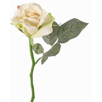 Kunst Rose ELLI, creme-rosa, 30cm, Ø6,5cm Kunst Rose ELLI, creme-rosa, 30cm, Ø6,5cm