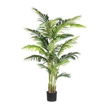 Deko Palme Kentia TIBERI, 160cm Deko Palme Kentia TIBERI, 160cm