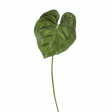Dekoblatt Anthurium LUVINA, grün, 65cm Dekoblatt Anthurium LUVINA, grün, 65cm