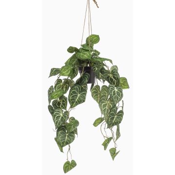 Dekopflanze Anthurium Blumenampel URCO, Dekotopf, grün, 80cm