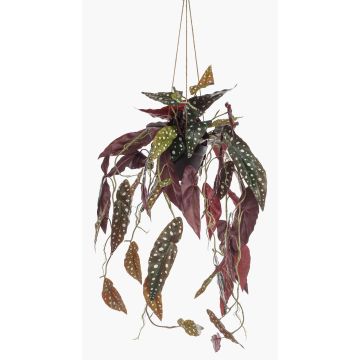 Dekopflanze Forellenbegonie Blumenampel URCO, Dekotopf, grün-weiß, 80cm