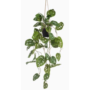 Dekopflanze Philodendron Monstera adansonii Blumenampel URCO, Dekotopf, 80cm