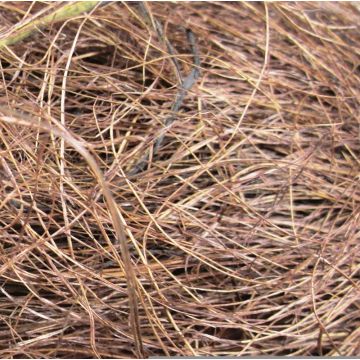 Naturfaser Sisalgras GIUSEPPA, braun, 20g Naturfaser Sisalgras GIUSEPPA, braun, 20g