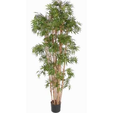 Kunstpflanze Bambus NARO, Echtstämme, 150cm Kunstpflanze Bambus NARO, Echtstämme, 150cm