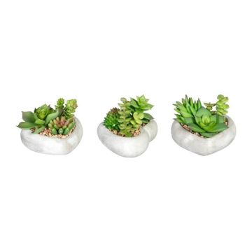 Kunst Gesteck Sukkulenten SORIPI, 3 Stück, Herz Zementschale, grün-rosa, 7cm Kunst Gesteck Sukkulenten SORIPI, 3 Stück, Herz Zementschale, grün-rosa, 7cm