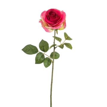 Kunstrose BRUNETTE, pink-grün, 70cm, Ø11cm Kunstrose BRUNETTE, pink-grün, 70cm, Ø11cm