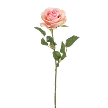 Kunstrose BRUNETTE, rosa-creme, 70cm, Ø11cm