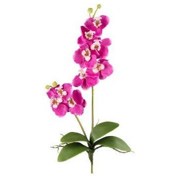 Kunst Phalaenopsis Orchidee MORLEK, Steckstab, Wurzeln, pink, 60cm