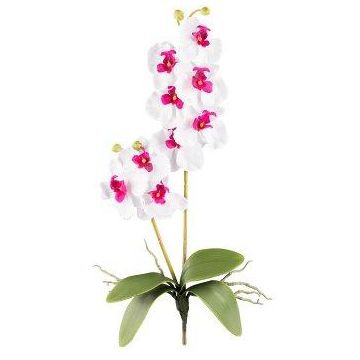 Kunst Phalaenopsis Orchidee MORLEK, Steckstab, Wurzeln, weiß-lila, 60cm