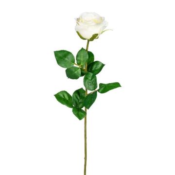 Künstliche Blume Rose NORLAN, creme, 70cm, Ø8cm Künstliche Blume Rose NORLAN, creme, 70cm, Ø8cm