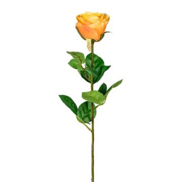 Künstliche Blume Rose NORLAN, aprikose, 70cm, Ø8cm