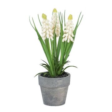 Deko Blume Traubenhyazinthe ZORKLEM im Dekotopf, weiß, 18cm
