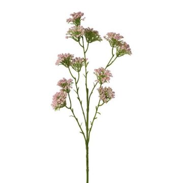 Künstlicher Zweig Schafgarbe GRUNTO, rosa, 65cm Künstlicher Zweig Schafgarbe GRUNTO, rosa, 65cm