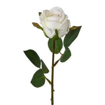 Plastikblume Rose EMBERY, weiß, 45cm, Ø6cm Plastikblume Rose EMBERY, weiß, 45cm, Ø6cm