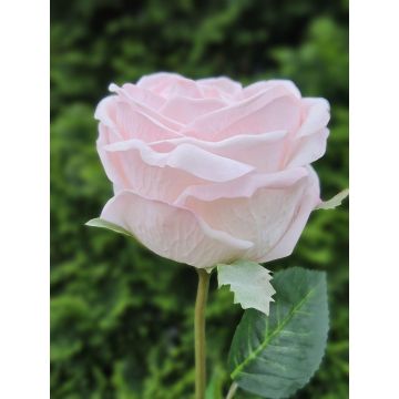 Rose künstlich MARNUK, hellrosa, 60cm