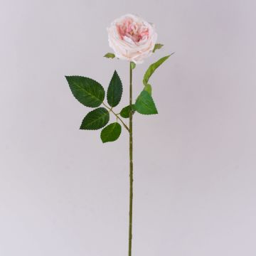 Rose künstlich MARNUK, creme-rosa, 60cm, Ø9cm