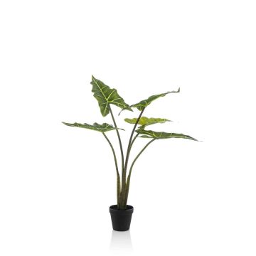 Künstliche Pflanze Alocasia Sanderiana MUNAY im Dekotopf, grün, 80cm Künstliche Pflanze Alocasia Sanderiana MUNAY im Dekotopf, grün, 80cm