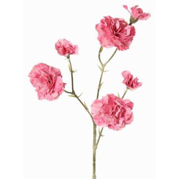 Deko Zweig Nelke STURYN, rosa, 55cm, Ø2,5-6cm Deko Zweig Nelke STURYN, rosa, 55cm, Ø2,5-6cm