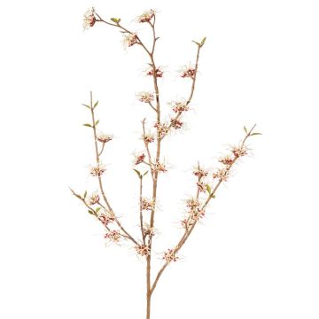 Deko Zweig Zaubernuss XYLA, Blüten, creme-rot, 120cm, Ø5cm
