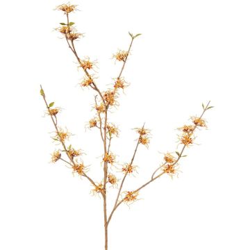Deko Zweig Zaubernuss XYLA, Blüten, orange-gelb, 120cm, Ø5cm