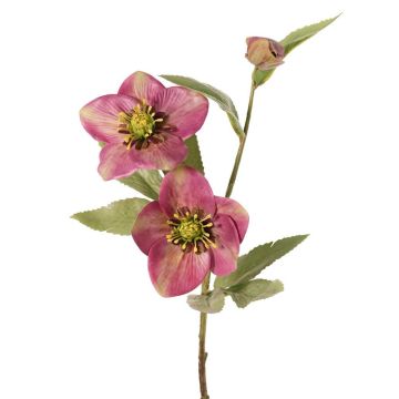 Deko Zweig Christrose SUNMYN, mauve, 55cm, Ø8-10cm